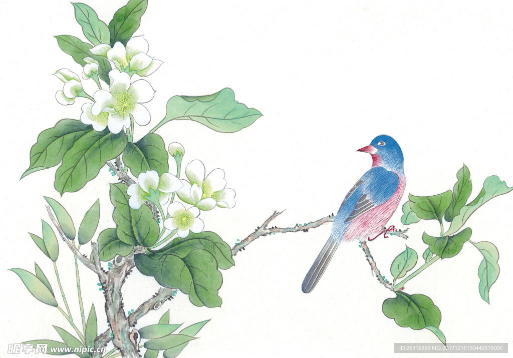 中式花鸟工笔画