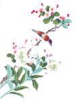 中式花鸟工笔画