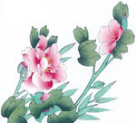 中式花鸟工笔画