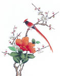中式花鸟工笔画
