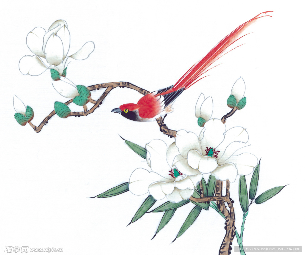 中式花鸟工笔画