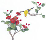 中式花鸟工笔画