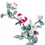 中式花鸟工笔画