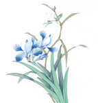 中式花鸟工笔画