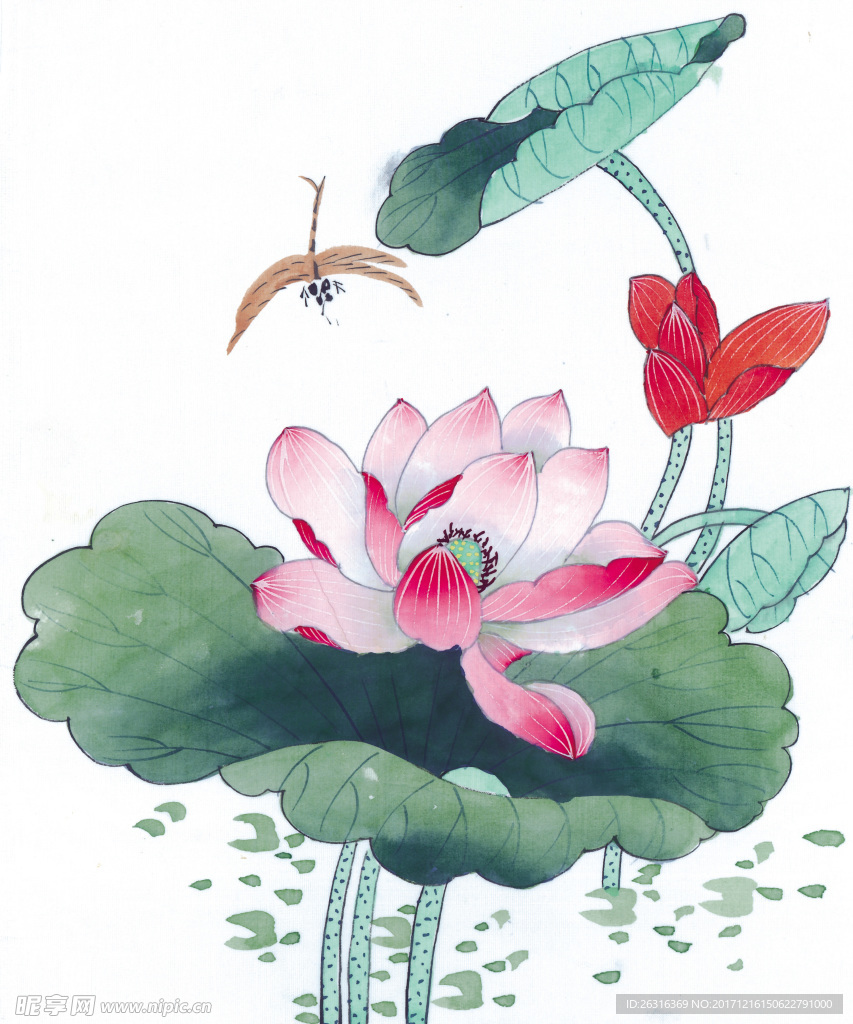中式花鸟工笔画