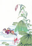 中式花鸟工笔画