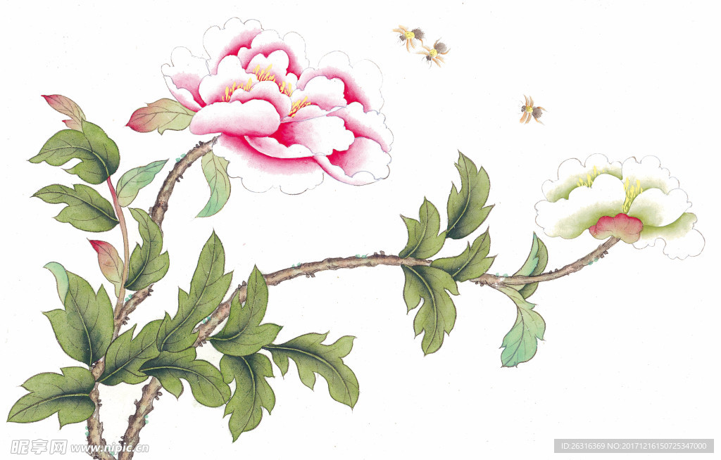 中式花鸟工笔画