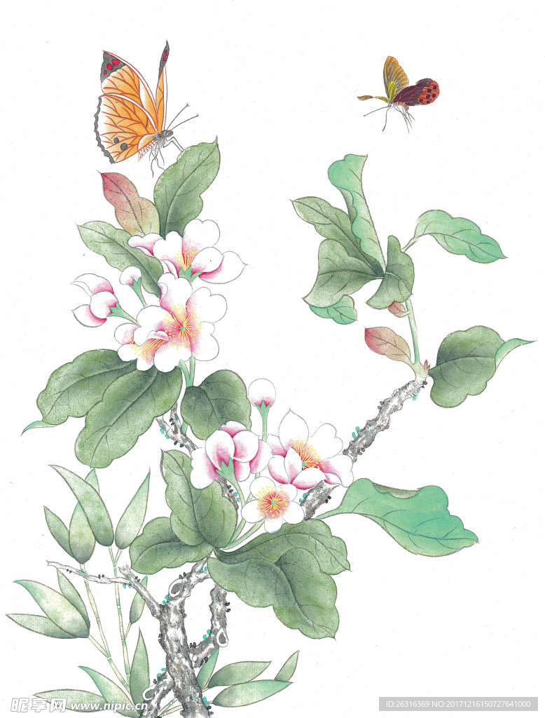 中式花鸟工笔画