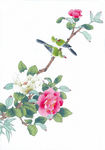 中式花鸟工笔画