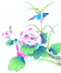 中式花鸟工笔画