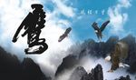 雄鹰展翅
