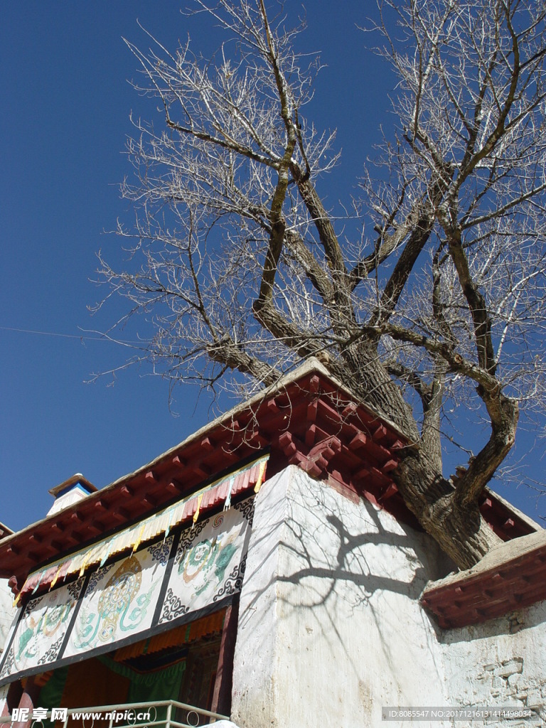 甘孜 贡嘎山 大金古刹 寺庙