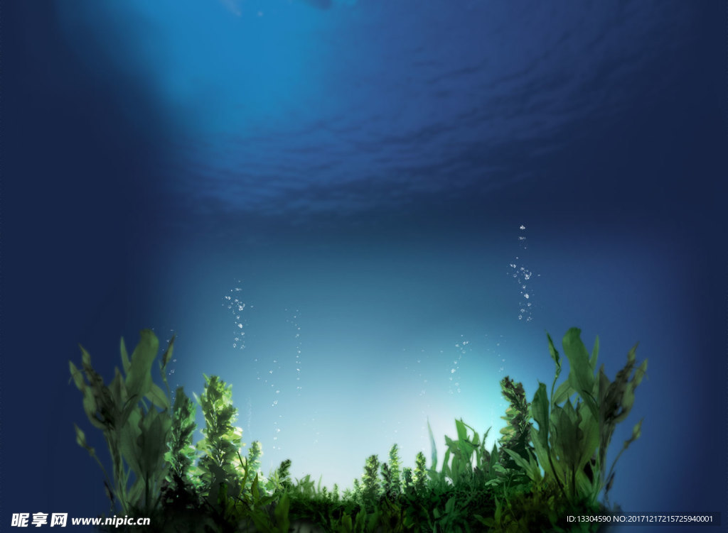 深海海藻