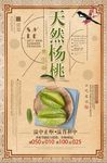 复古杨桃果汁促销海报