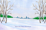 冬季雪景