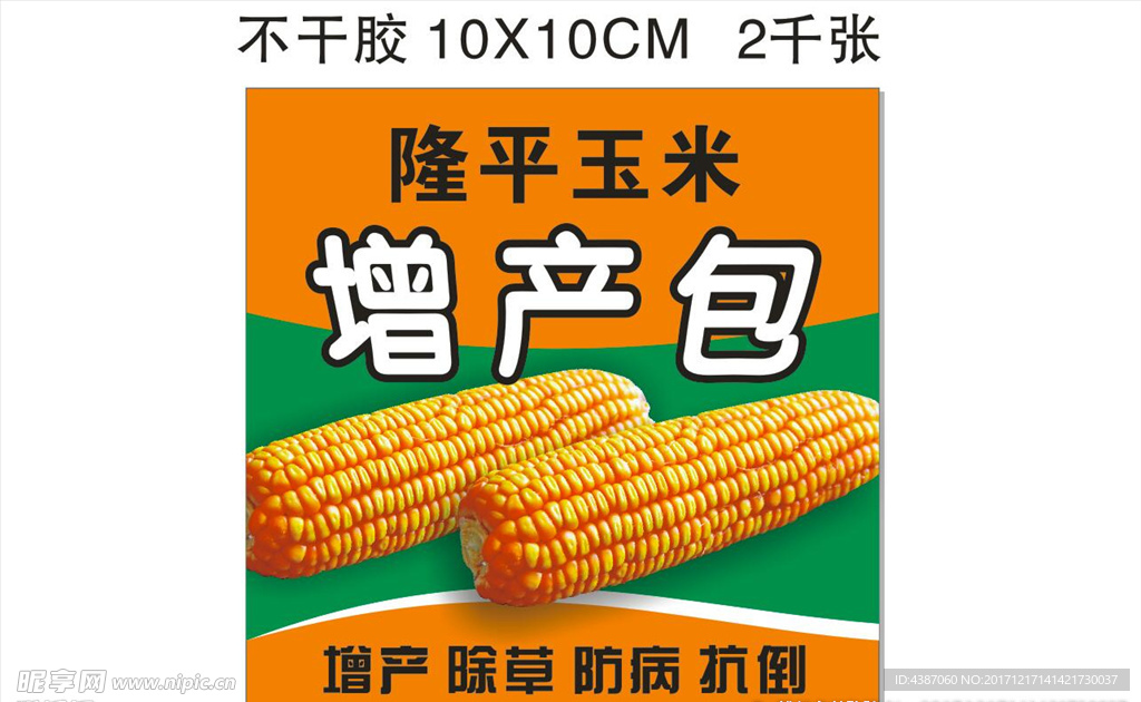 玉米海报