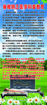 脊椎矫正医学科普教育易拉宝