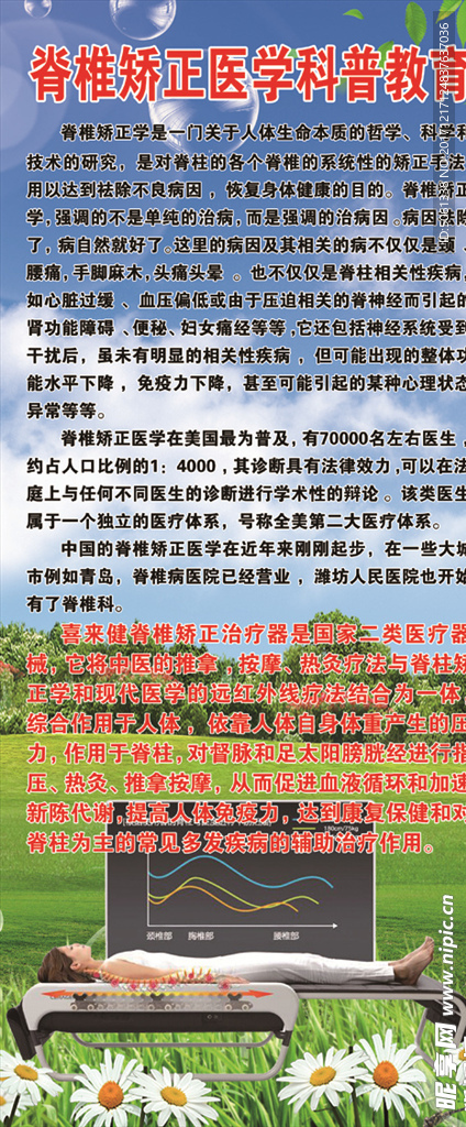 脊椎矫正医学科普教育易拉宝