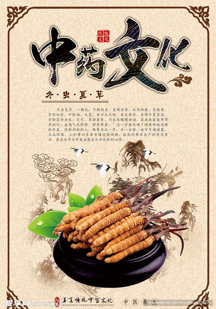 中药海报