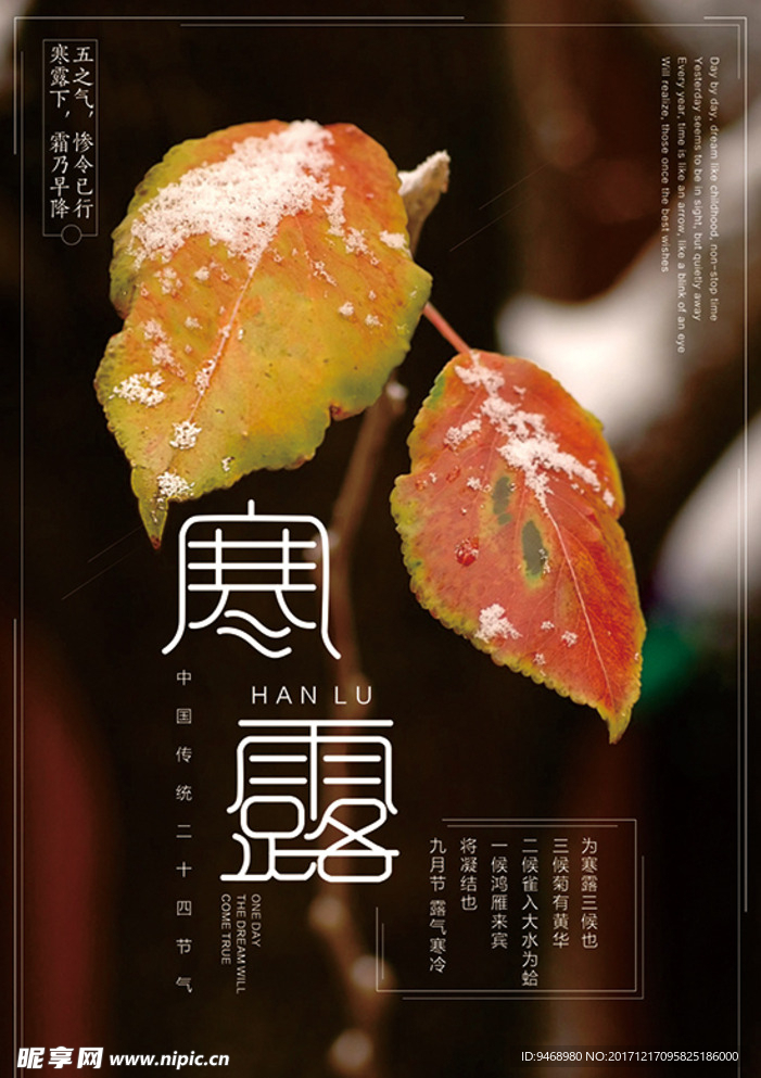 二十四节气寒露海报