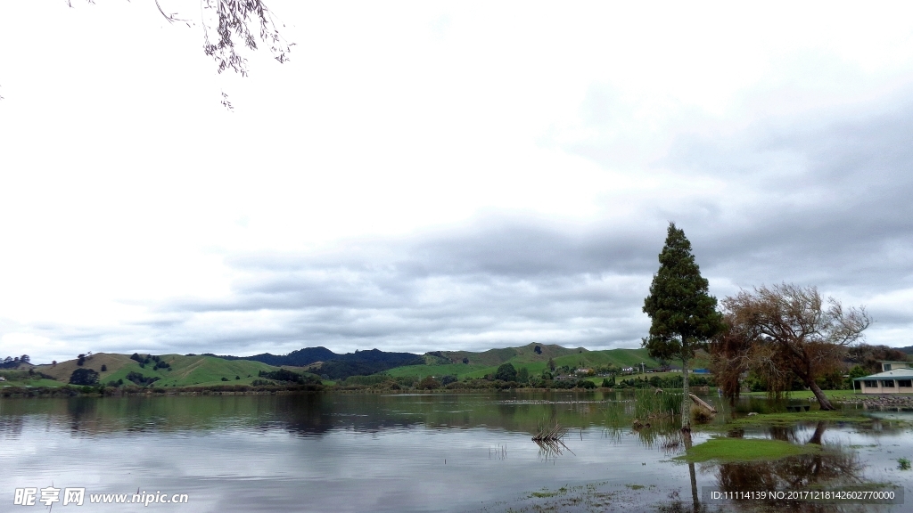 新西兰亨得利湖畔风景