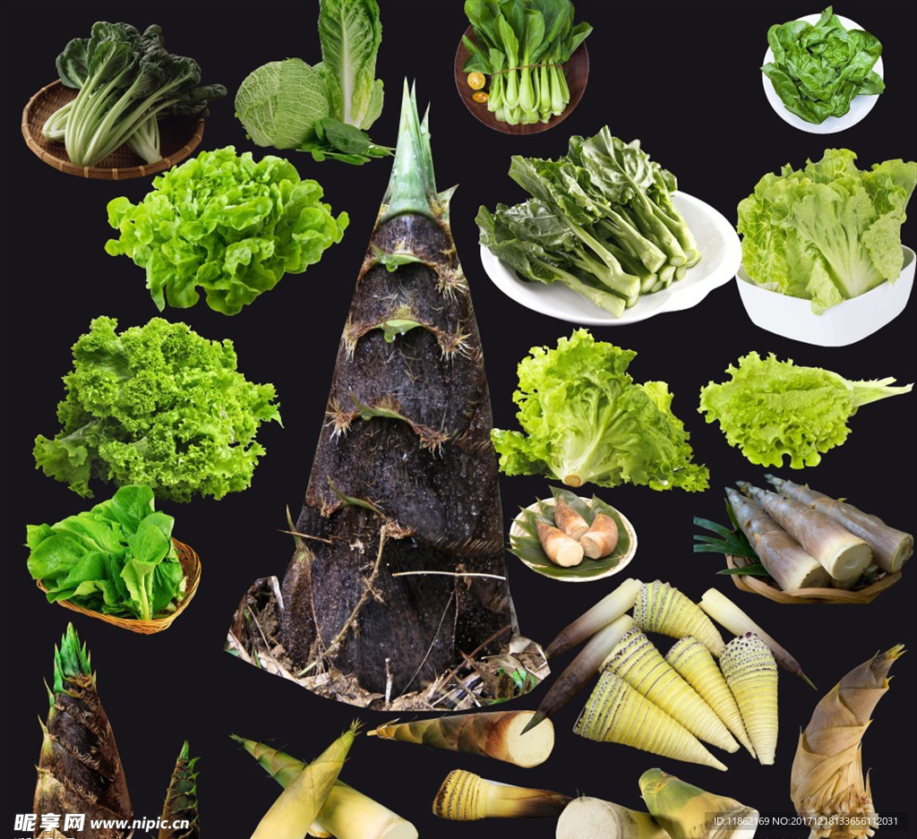 竹笋 生菜超清精细抠图分层素材