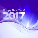 动感曲线2017金属字新年快乐