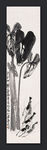 芋叶游虾