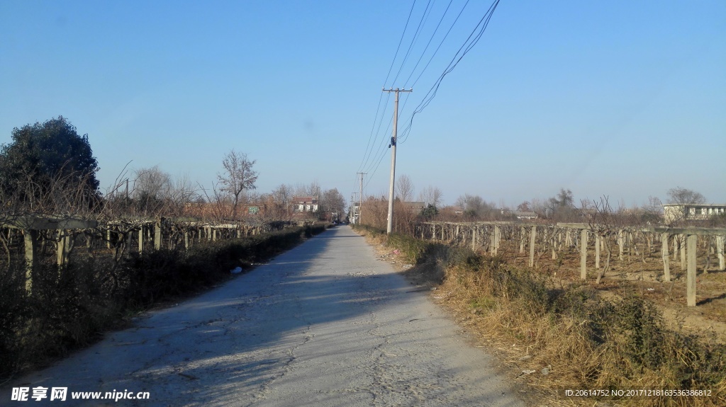 乡村道路风景