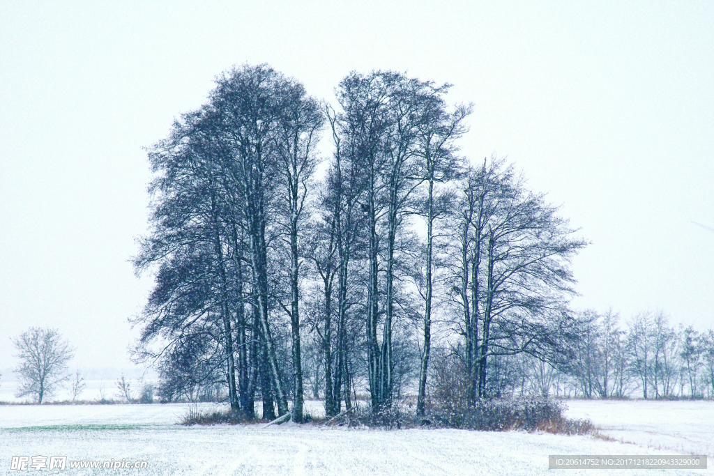 冬日里的乡村风景