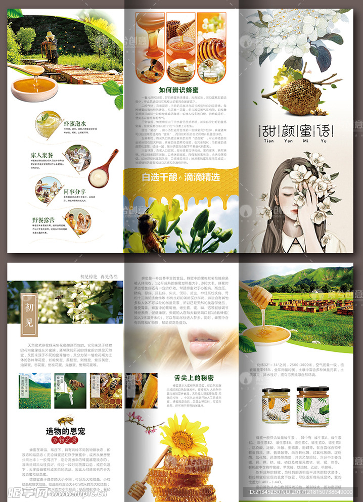 三折页