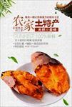 农家土特产特色餐饮美食宣传海报