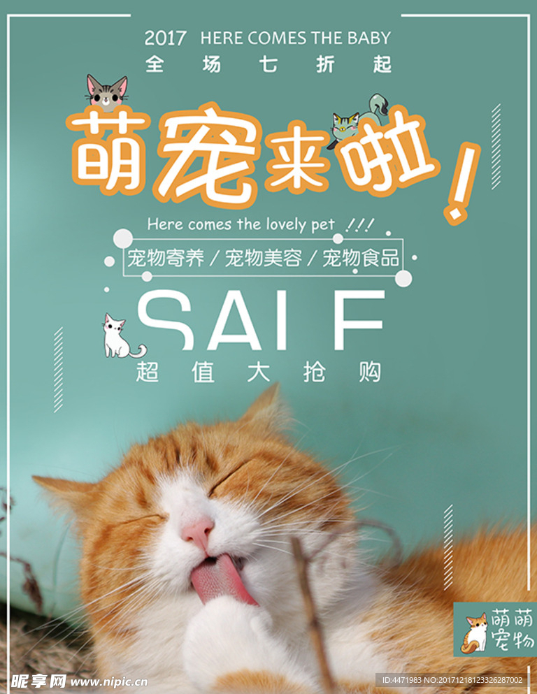 猫咪猫舍宠物店宣传海报