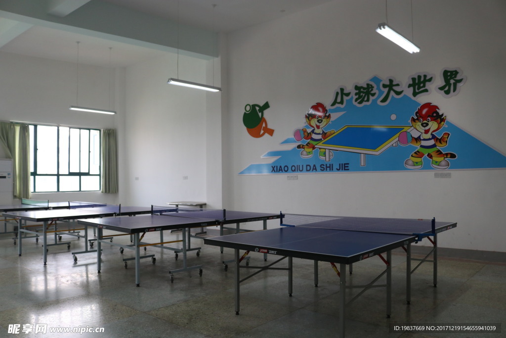 学校 乒乓球台室