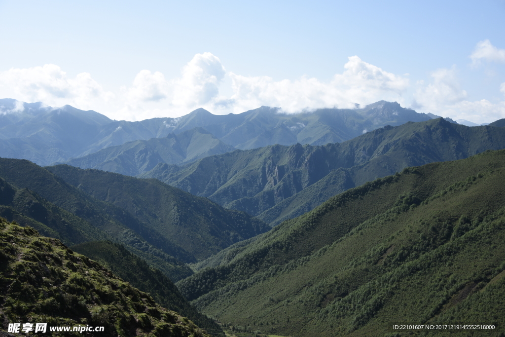 青海互助北山森林公园