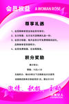玫瑰女人