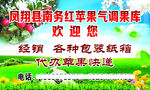 苹果