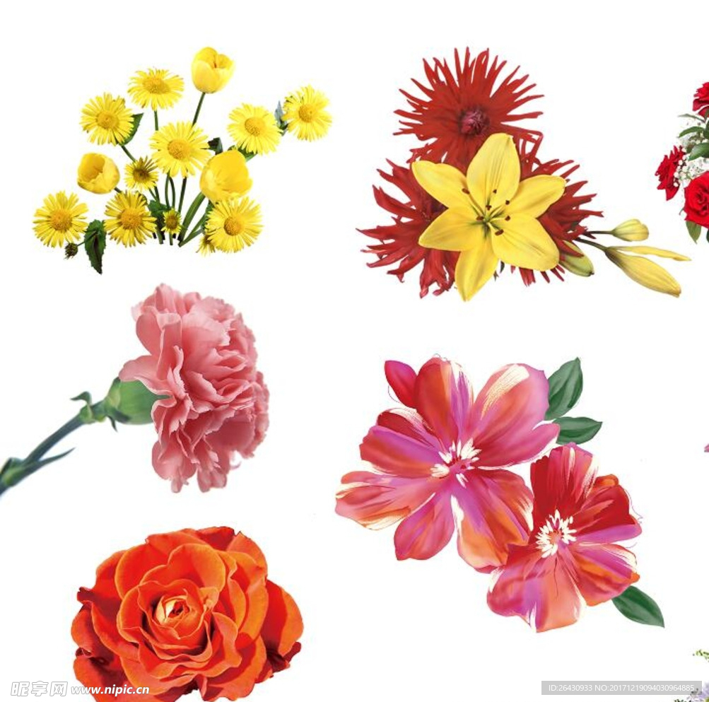 各种花