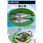 湄公鱼
