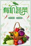有机蔬菜天然农产品天然蔬菜绿色