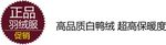 淘宝简约艺术字字体排版