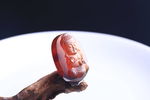 陈万福 琥珀