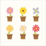 花盆