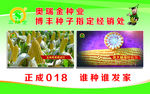 欧瑞金种子名片