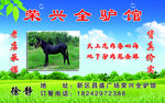 驴肉名片