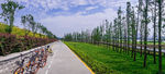 道路景观