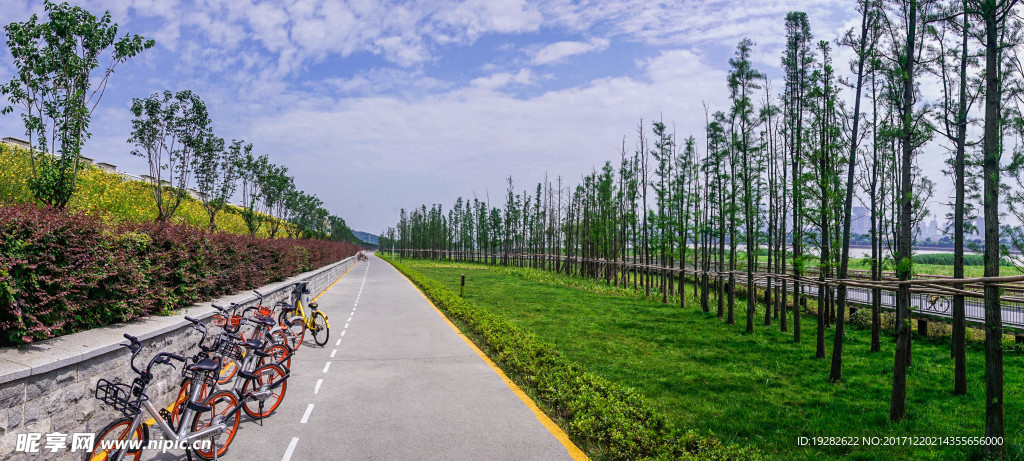 道路景观