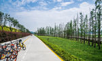 道路景观