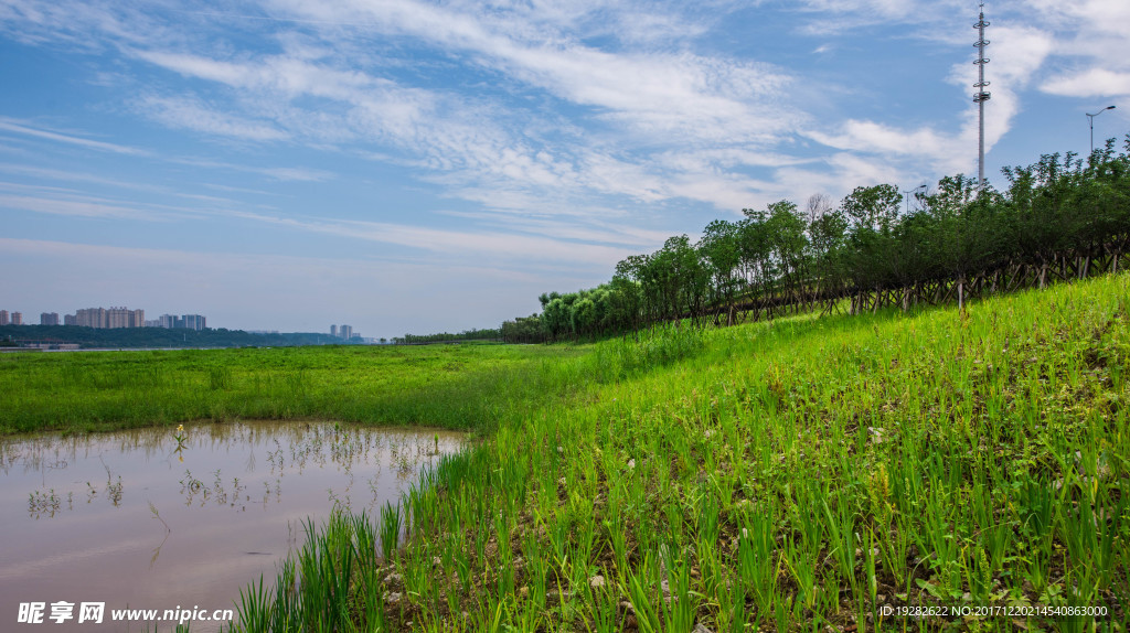 郊野景观