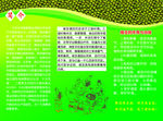 绿豆琼浆酒业反